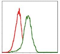 PDX1 Antibody (clone 5A5)
