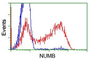 Monoclonal Mouse anti-Human NUMB Antibody (clone OTI2C4, WB)