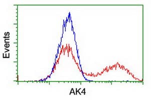AK4 / Adenylate Kinase 4 Antibody (clone OTI2B12)