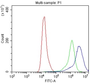 CD119 / IFNGR1 Antibody