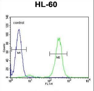 FBXW11 Antibody (aa168-196)