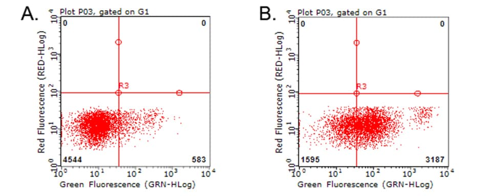 CD274 / B7-H1 / PD-L1 Antibody (clone OTI2C11)