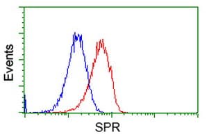 SPR Antibody (clone OTI1F4)