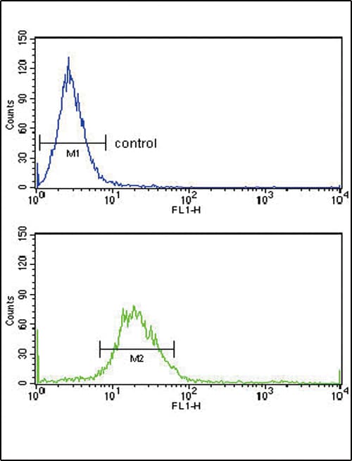 EXT2 Antibody (aa182-209)