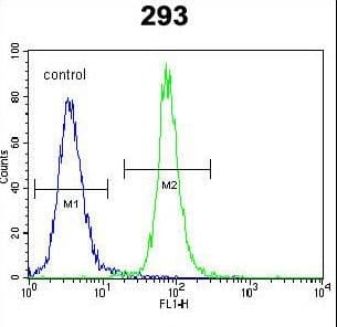 SOX2 Antibody