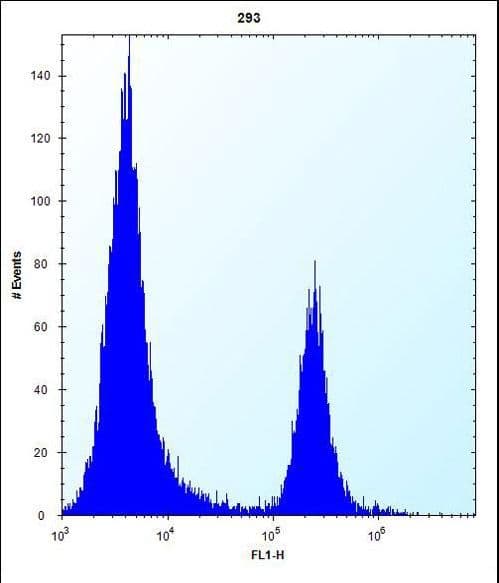 CBR3 Antibody (aa195-224)
