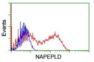NAPE-PLD Antibody (clone OTI5F7)