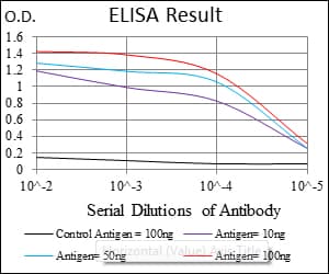 IHC-plus™ ASS1 / ASS Antibody (clone 2B10)