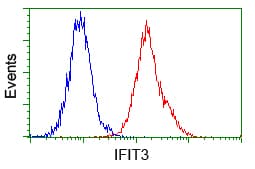 IFIT3 Antibody (clone OTI1G1)