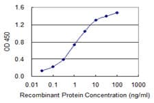Monoclonal Mouse anti-Human ABLIM1 Antibody (clone 3A1, WB)