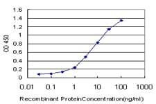 EPHB3 / EPH Receptor B3 Antibody (clone 2G9)