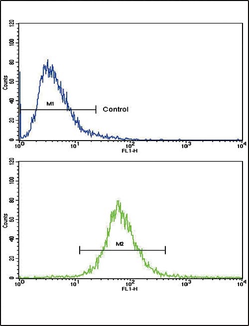 IHC-plus™ AOC3 / VAP-1 Antibody (aa613-640)