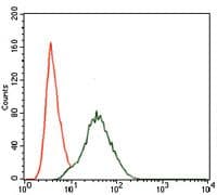 Monoclonal Mouse anti-Human PIK3R1 / p85 Alpha Antibody (clone 6G10, Amino Acid: 159-388, IHC, IF, WB)