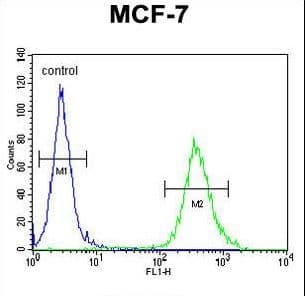 CYB561D1 Antibody (aa200-229)