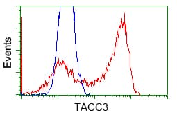 ERIC-1 / TACC3 Antibody (clone OTI6C6)