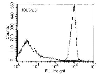 Monoclonal Rat anti-Mouse CD45 / LCA Antibody (clone IBL-5/25, Biotin)