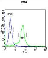 BTBD1 Antibody (aa295-322)