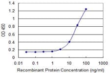 DMP1 Antibody (clone 1D4)
