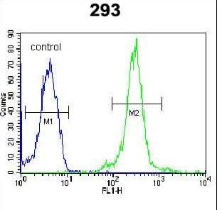 ATXN7L3B Antibody (aa32-62)