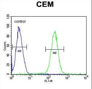 HTR3E / 5-HT3E Receptor Antibody (aa126-154)