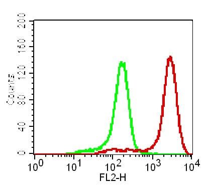 TLR5 Antibody