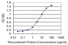 Monoclonal Mouse anti-Human HSD17B8 / RING2 Antibody (clone 4F1, WB)