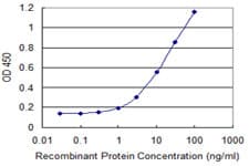 TCP11 Antibody (clone 2E3)