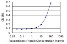 SRP68 Antibody (clone 3A3)