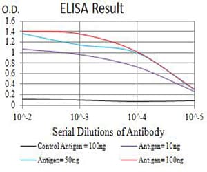 CHRNA7 Antibody (clone 7F10F1)