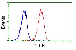 PLEK / Pleckstrin Antibody (clone OTI4F10, Carrier-free)