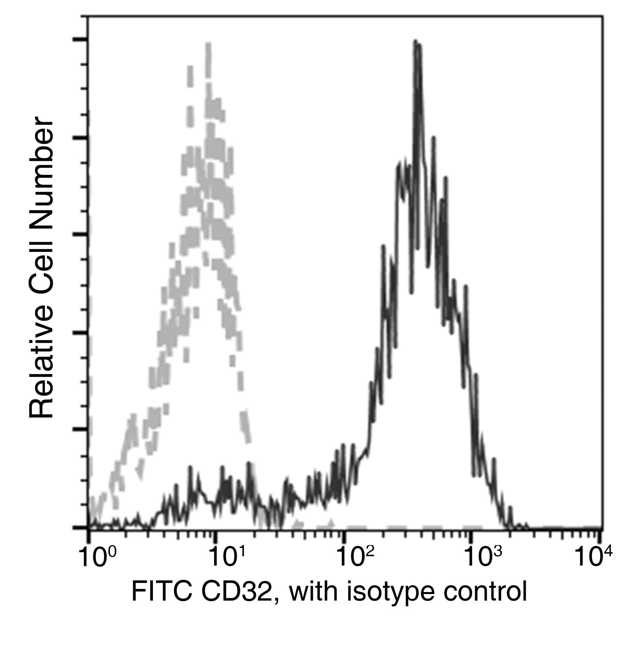 Monoclonal Rabbit anti-Crab-eating macaque CD32B Antibody (clone 046, FITC)