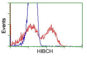 HIBCH Antibody (clone OTI4G1)
