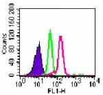 IHC-plus™ Monoclonal Mouse anti-Human TLR9 Antibody (clone 26C593.2, aa268-284, IHC, WB)