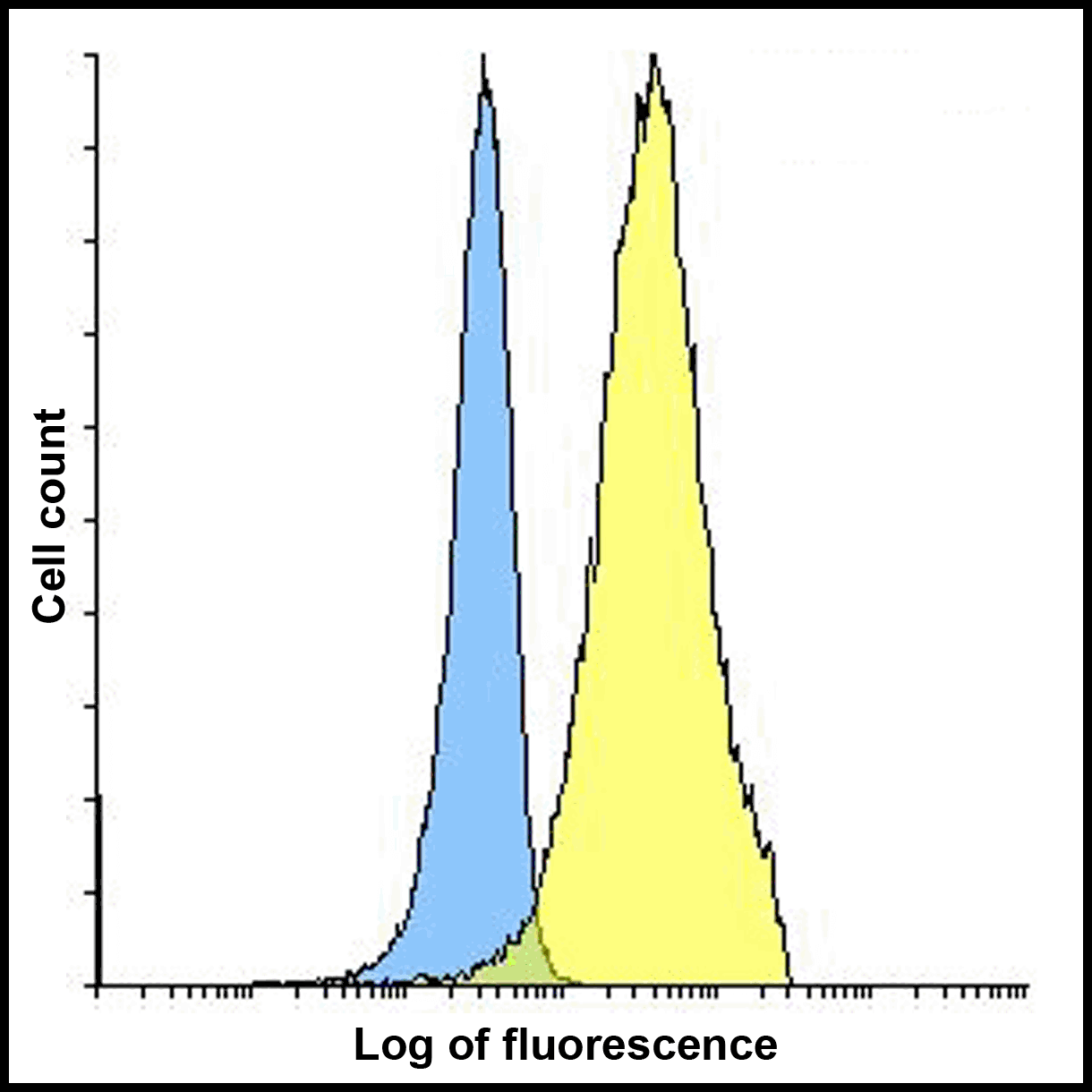PD-L2 / PDCD1LG2 / CD273 Antibody (clone 7C1)
