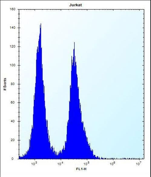 SNIP1 Antibody (aa91-118)