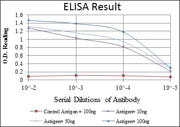 SMN1 Antibody (clone 5H1)
