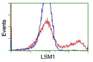 LSM1 Antibody (aa1-133, clone OTI9D7, Carrier-free)