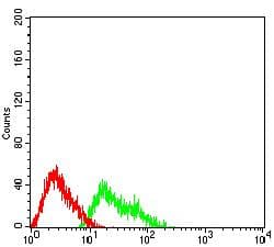 MUC5B Antibody (clone 6F8B2)