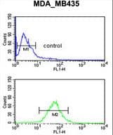 Polyclonal Rabbit anti-Human GNRH2 Antibody (aa26-53, WB)