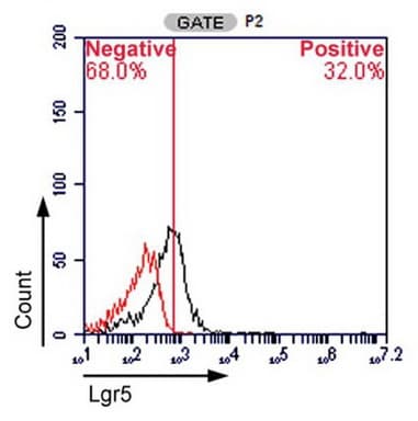 GPR49 / LGR5 Antibody (aa250-550, clone OTI2A2)
