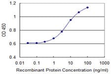 IHC-plus™ Monoclonal Mouse anti-Human GOB5 / CLCA1 Antibody (clone 1C4, IHC, WB)