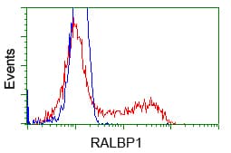 IHC-plus™ RIP1 / RALBP1 Antibody (clone 1H9)