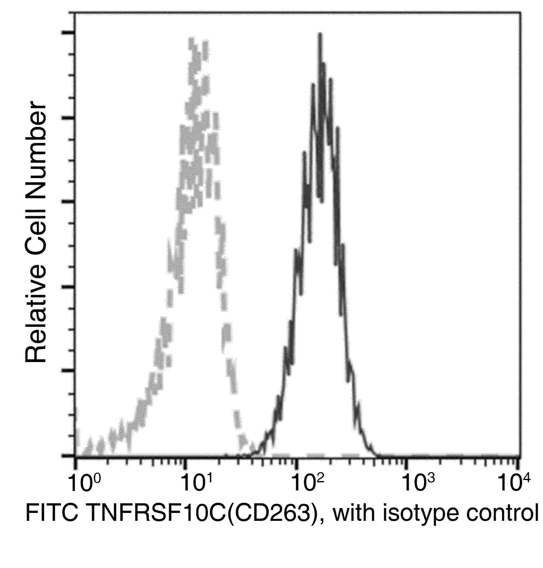 TRAIL-R3 / DCR1 Antibody (clone 003, FITC)