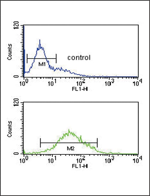 ZFYVE16 Antibody (aa375-404)