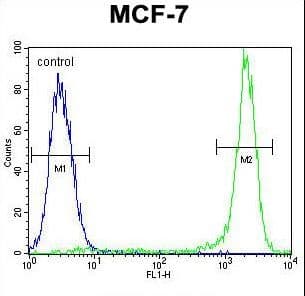 KSR2 Antibody (aa603-638)