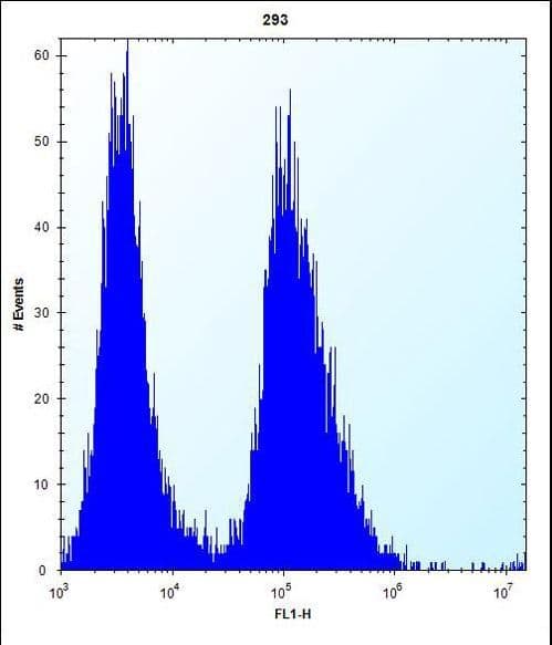CLDN2 / Claudin 2 Antibody (aa200-227)