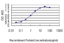 UBCH / UBE2H Antibody (clone 3C4-1A2)