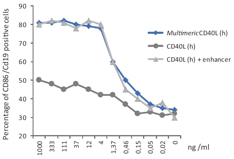 Human CD40L Protein (Recombinant DDK (Flag)-Human ACRP30headless aa 18-111)