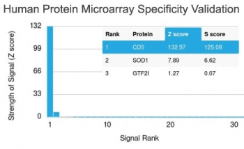 CD5 Antibody (clone CD5/2416)