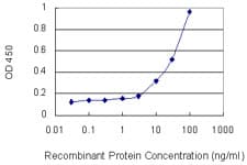 CTGF Antibody (clone 2C11)